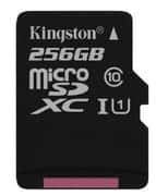 Купить Карта памяти MicroSD 256Gb Kingston Select (Black) SDCS/256GB